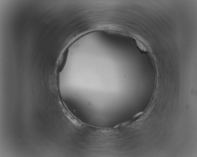 X0000073840816200608241015