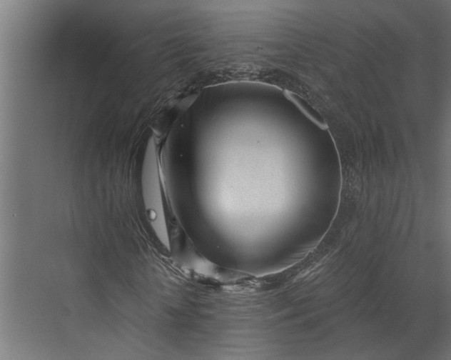 X0000073840818200608241014