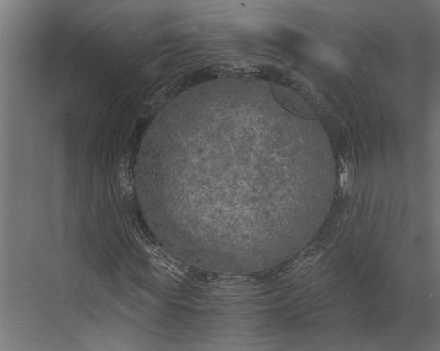 X0000073840819200608241014