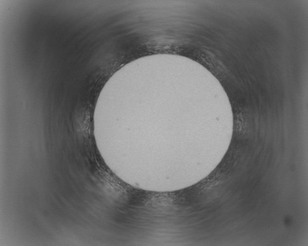 X0000073840820200608241014