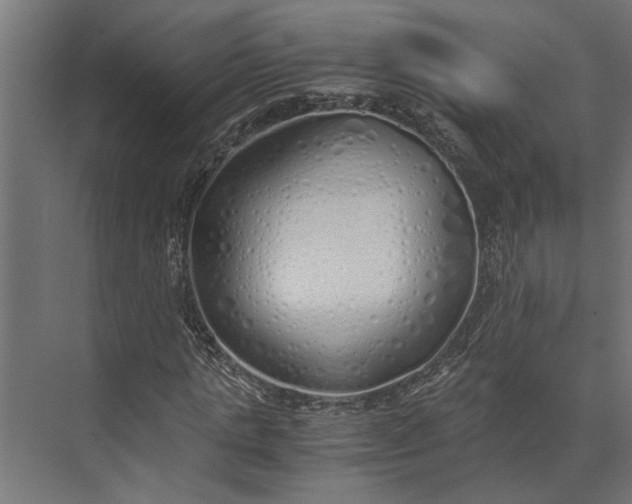 X0000073840821200608241014