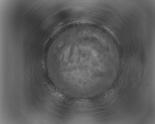 X0000073840823200608241014