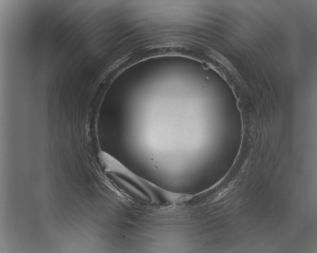 X0000073840826200608241014