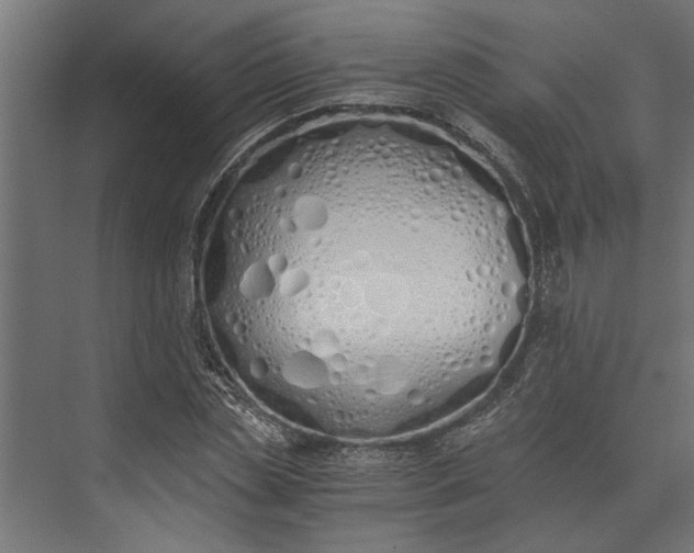 X0000073840829200608241014