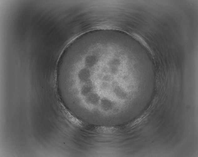 X0000073840831200608241014