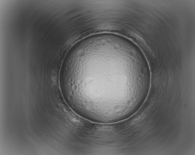 X0000073840833200608241014