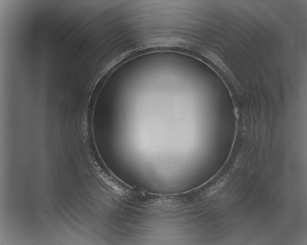 X0000073840834200608241014