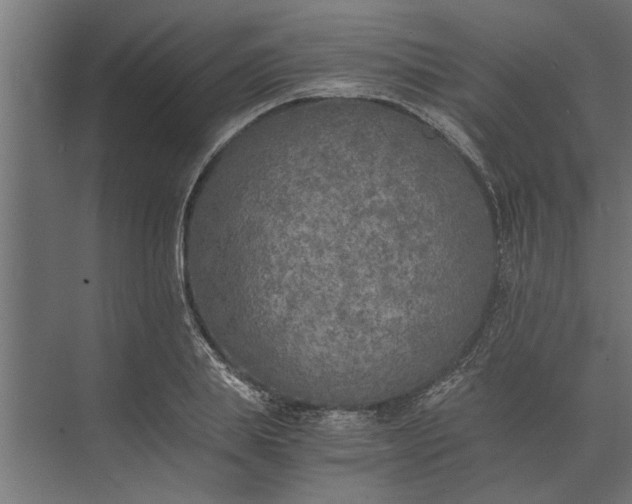 X0000073840839200608241015