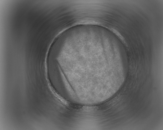 X0000073840840200608241015