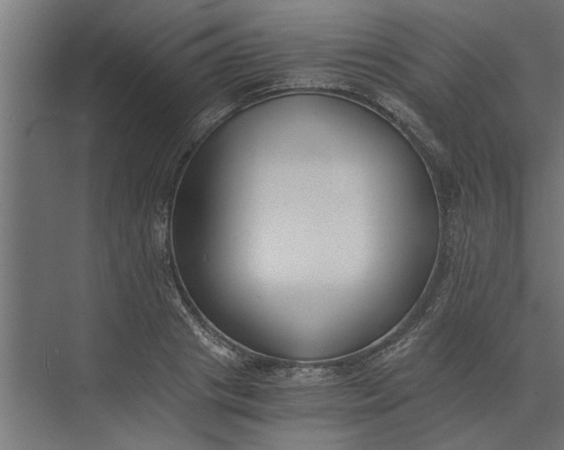 X0000073840841200608241015