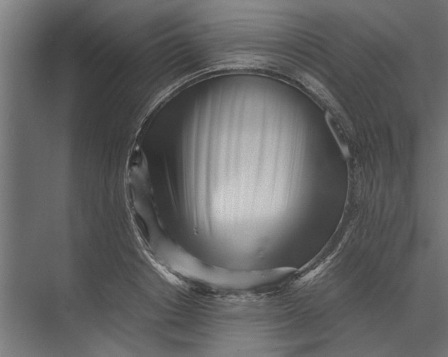 X0000073840842200608241015