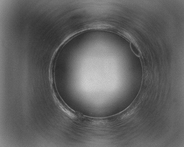 X0000073840843200608241015