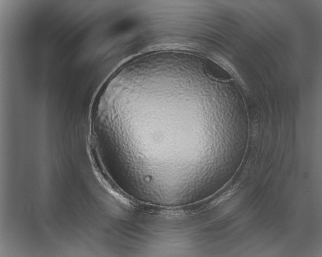 X0000073840844200608241015