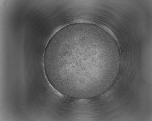 X0000073840847200608241015