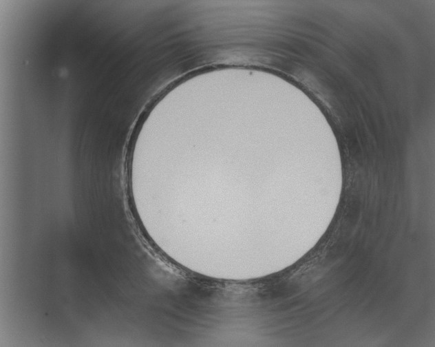 X0000073840848200608241015