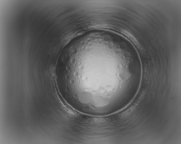 X0000073840849200608241015