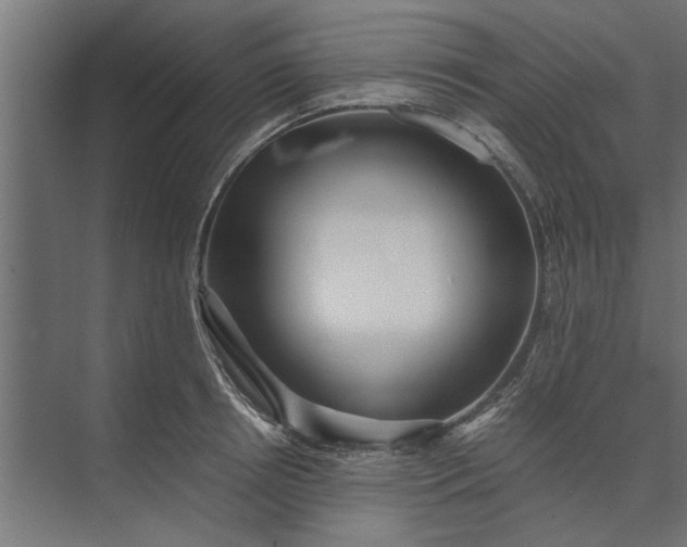 X0000073840850200608241015