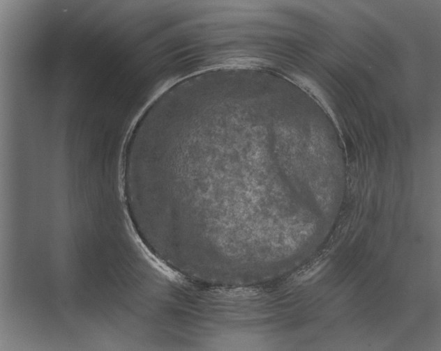 X0000073840851200608241015