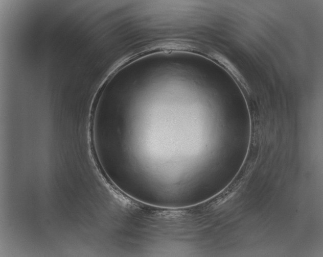 X0000073840853200608241015