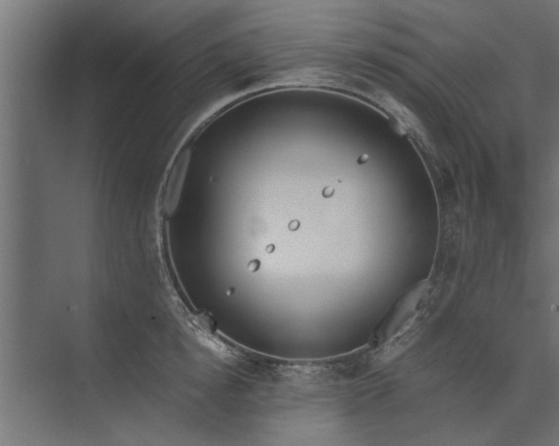 X0000073840854200608241015