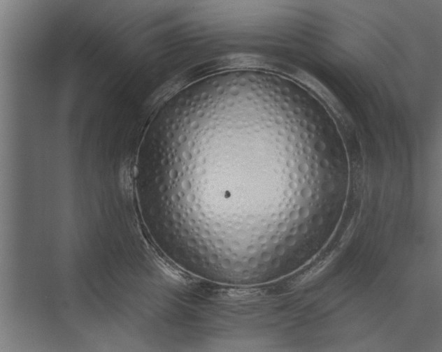 X0000073840857200608241015