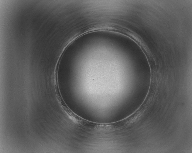 X0000073840858200608241015