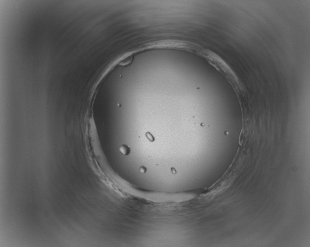 X0000073840860200608241015