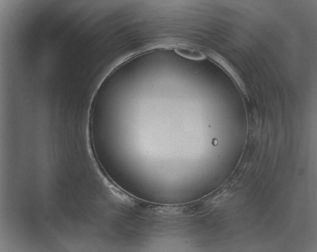 X0000073840861200608241015