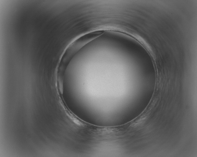 X0000073840862200608241015