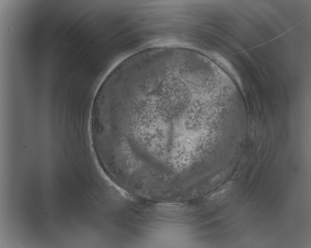 X0000073840863200608241015