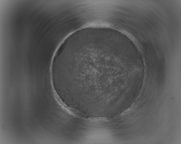 X0000073840864200608241015