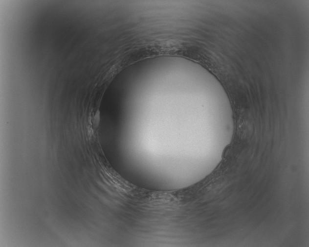 X0000073840866200608241014