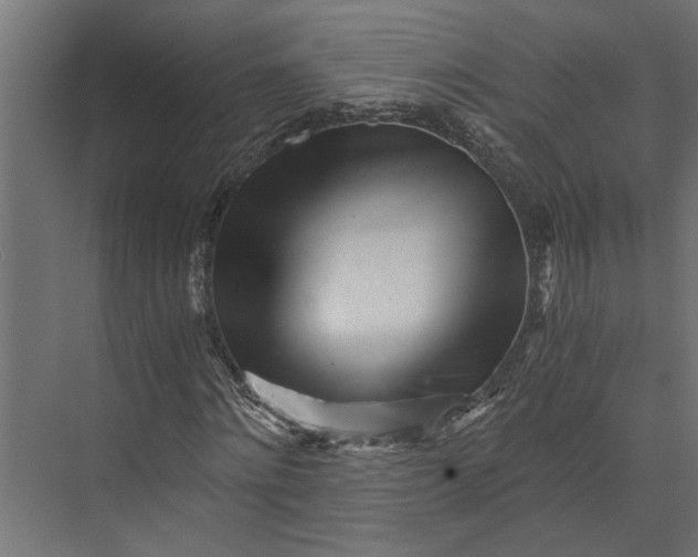 X0000073840868200608241014