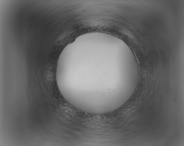 X0000073840869200608241014