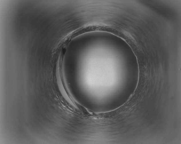 X0000073840872200608241014