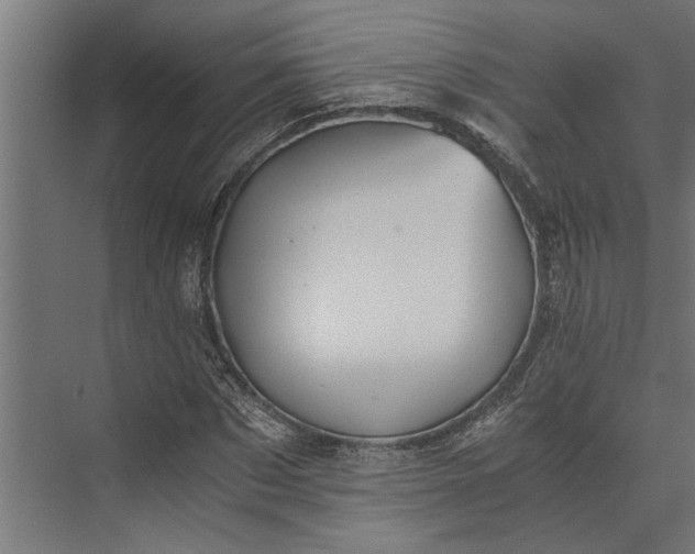 X0000073840873200608241014