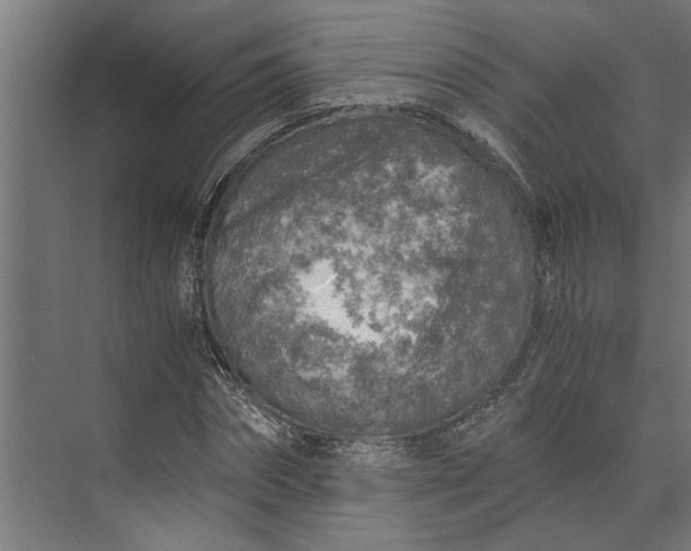 X0000073840874200608241014