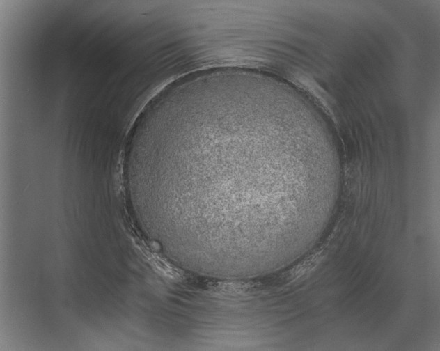 X0000073840875200608241014