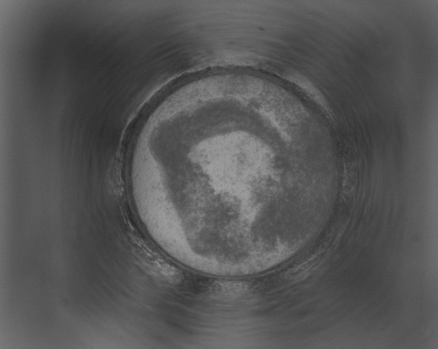 X0000073840878200608241014