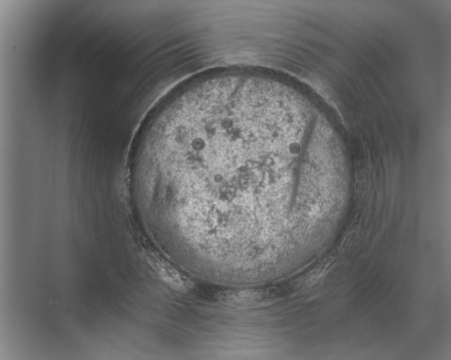 X0000073840879200608241014