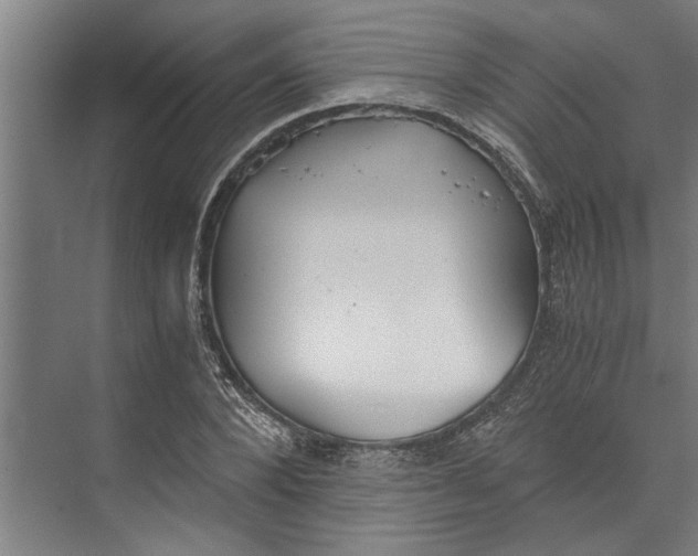 X0000073840880200608241014