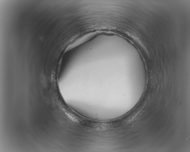 X0000073840881200608241014