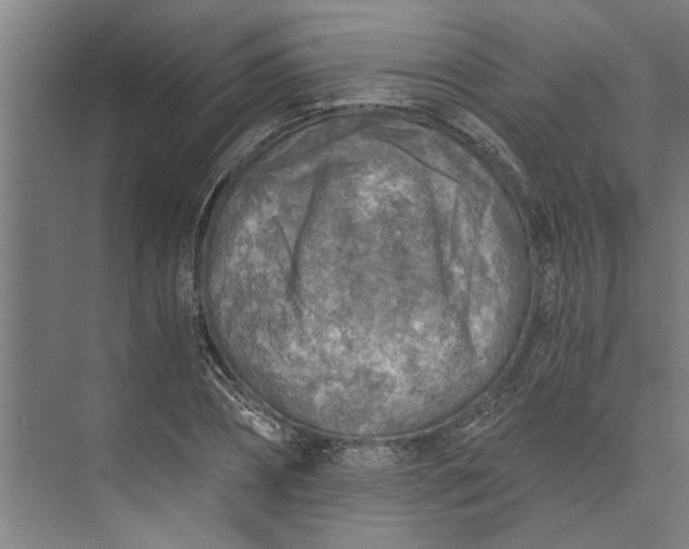 X0000073840882200608241014