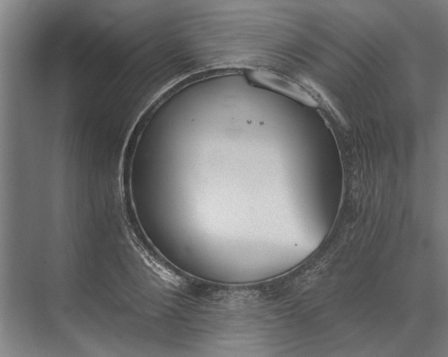 X0000073840884200608241014