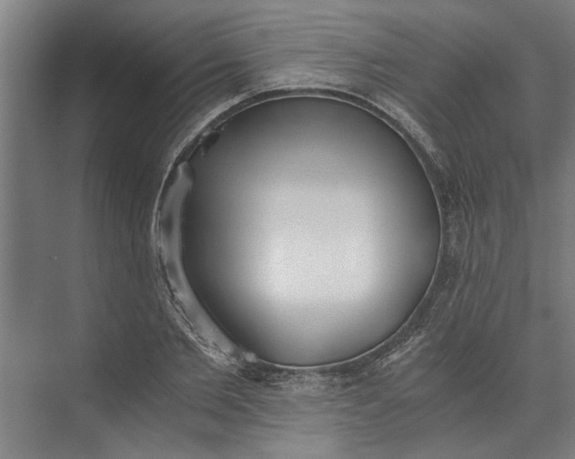 X0000073840885200608241014