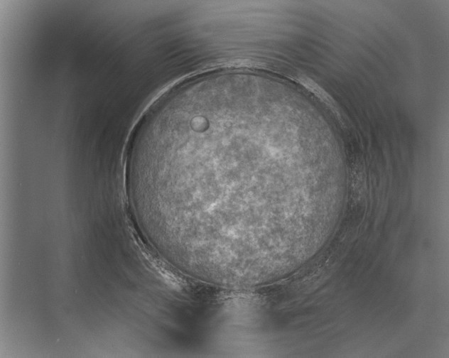 X0000073840886200608241014