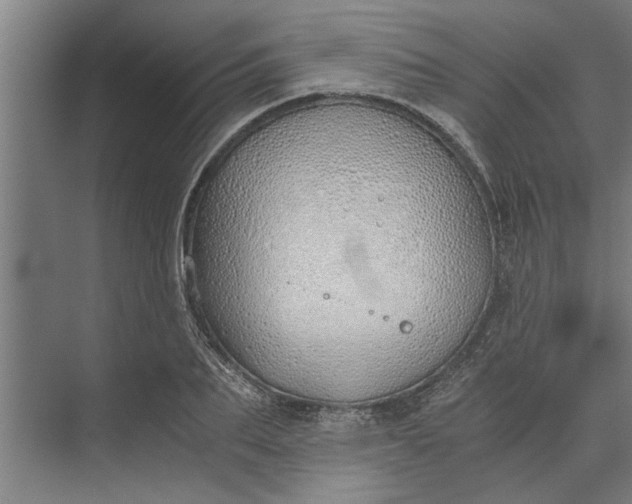 X0000073840887200608241014