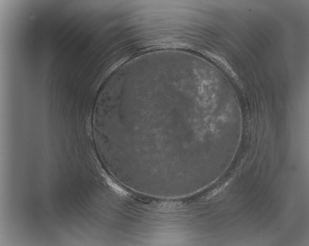 X0000073840889200608241014