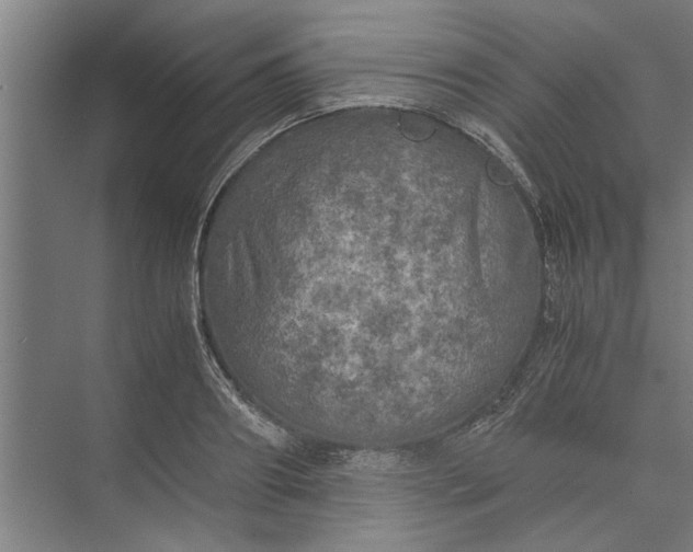 X0000073840890200608241014