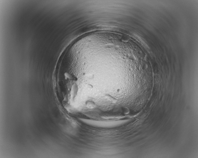 X0000073840891200608241014